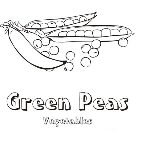 Download Green Peas Vegetable Coloring Pages