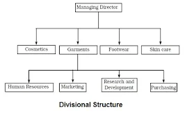 Divisional Structure