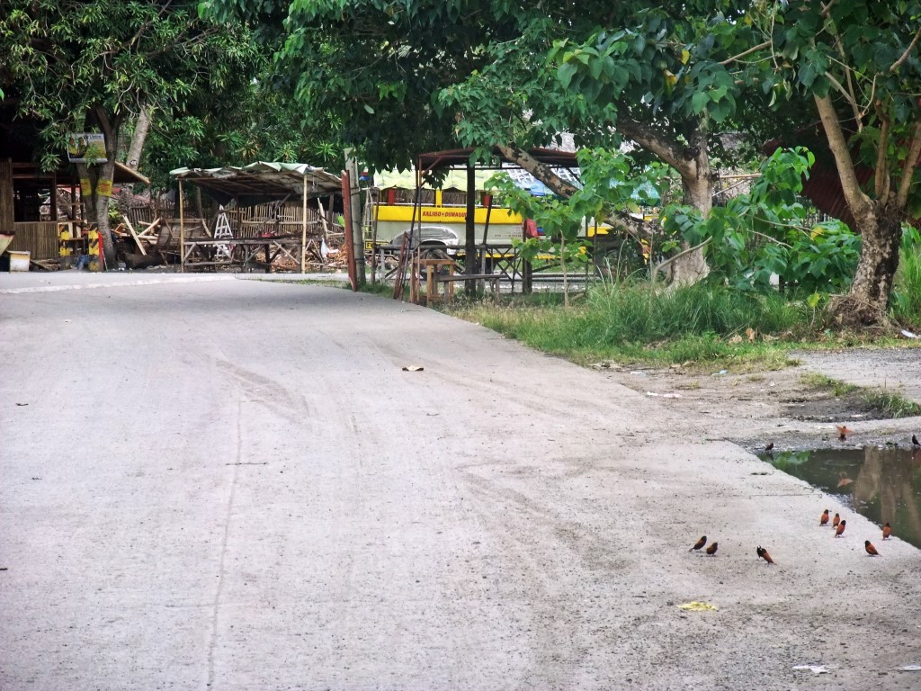 desolate road at the Dumaguit Inter-Island Port in New Washington, Aklan