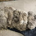 Good Samaritan Spots Pile Of Matted Wool And Twigs — Then Realizes It’s Alive