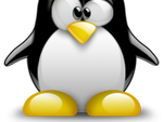Linux Deploy APK Premium v.3.0.12 terbaru
