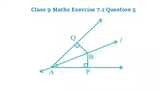 Class 9 Maths Chapter 7 Exercise 7.1 Question 5