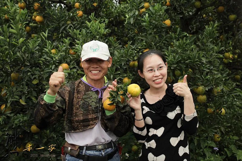 彰化溪州鄭富雄芭樂園｜雲林古坑天成果園｜希望廣場-新北市農會