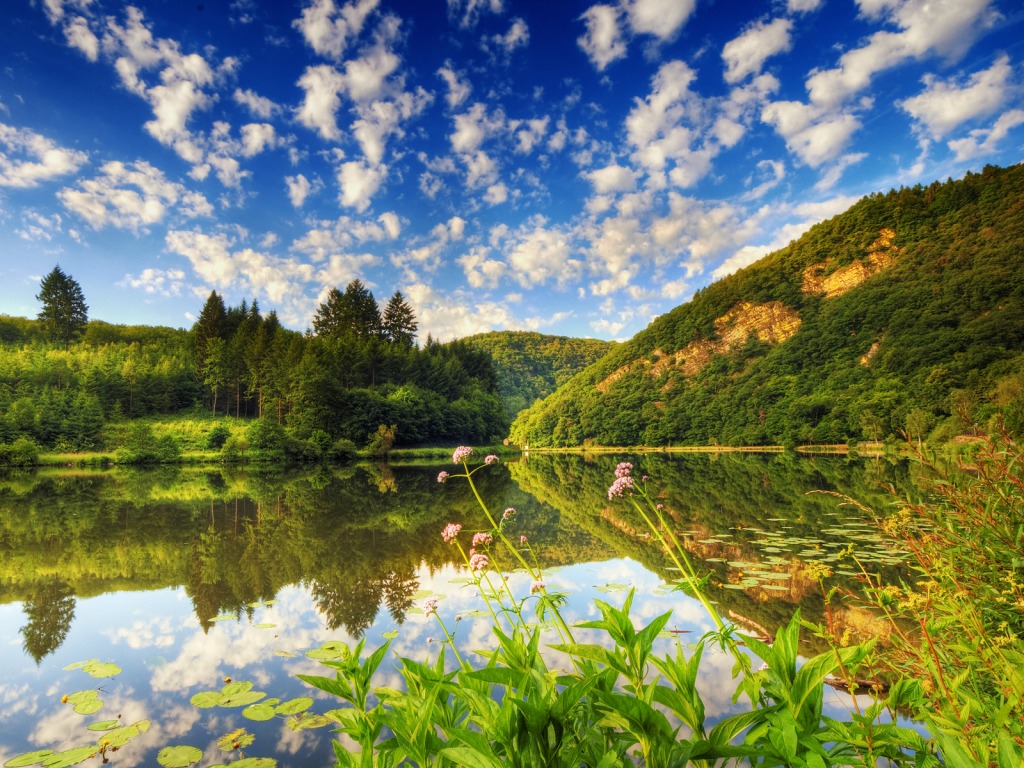 Landscape Summer Nature Wallpaper