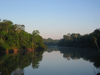 morning in the amazon river