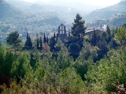 El conjunt de Sant Pere de Vallhonesta