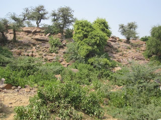 A beautiful view of Govardhana Hill