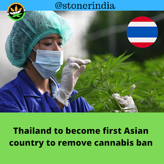 Thailand becomes first Asian country to remove ban on cannabis