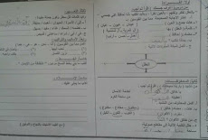 ورقة امتحان اللغة العربية الرسمية لمحافظة الشرقية الصف الثاني الابتدائي 2017