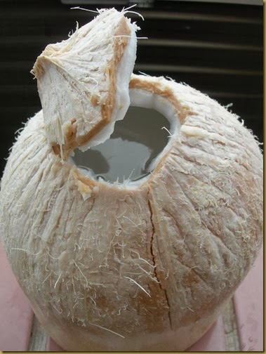 nuocduatuoi