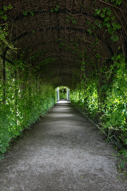 Kronprinzergarten-Castello di Schönbrunn-Vienna