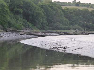 mud banks on river lynher near treluggan boat yard