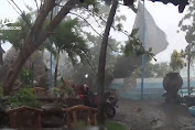 Cuaca Buruk, Belasan Pohon Tumbang dan Sejumlah Bangunan di Ngawi Rusak