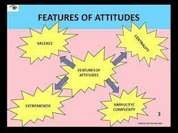 Attitude: Definition, Nature and Characteristics [Explained]