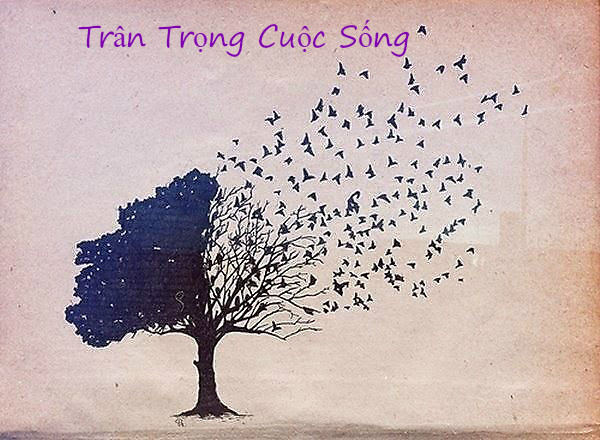 TRÂN TRỌNG CUỘC SỐNG