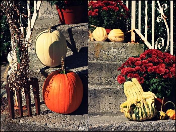 fall