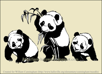 funny panda bears