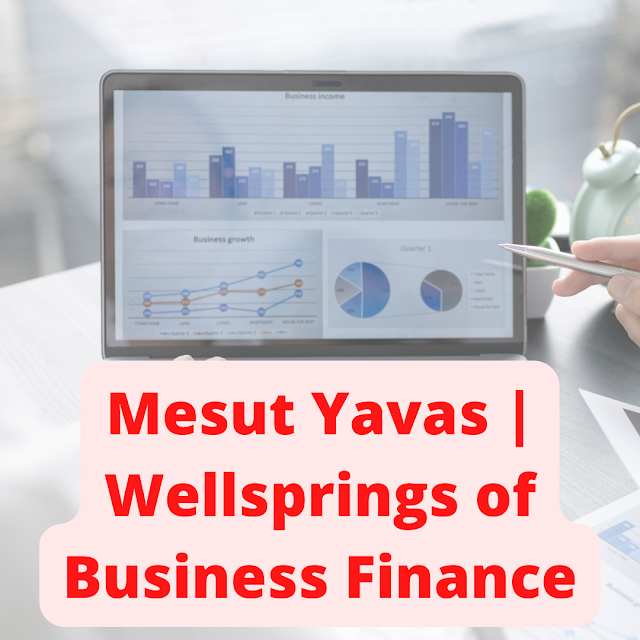 Mesut Yavas | Wellsprings of Business Finance