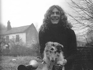 Strider: Robert Plant's Blue-Eyed Merle Dog