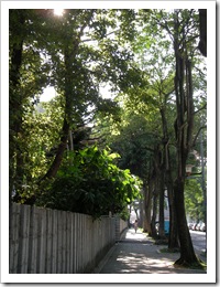SANY0691
