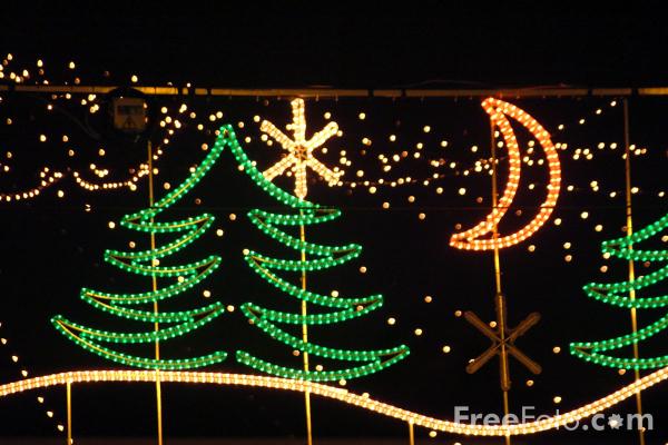 Christmas Lights