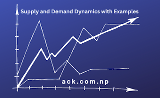 Supply and Demand Dynamics with Examples
