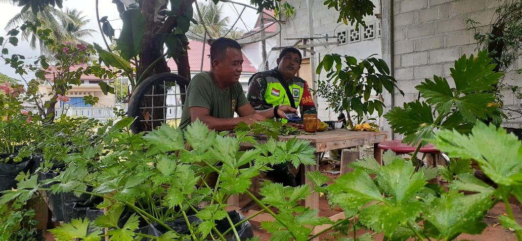 Ingin Memamfaatkan Pekarangan Rumah,  Babinsa Kelurahan Ranai Kota Melakukan Komsos Dengan Warga Binaan