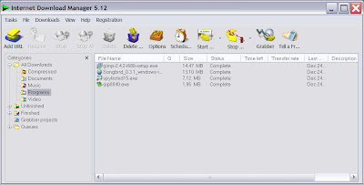 Internet Download Manager Main Window