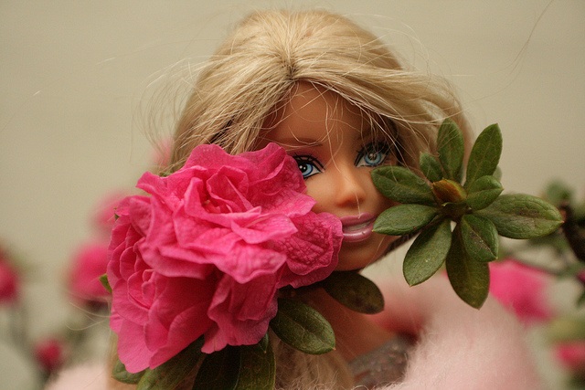 Cute Pictures Of Barbie Dolls