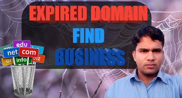 How To Sell Expired Domains With Traffic [WT1] Hindi