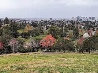 View from Mountain View Cemetery in Oakland California