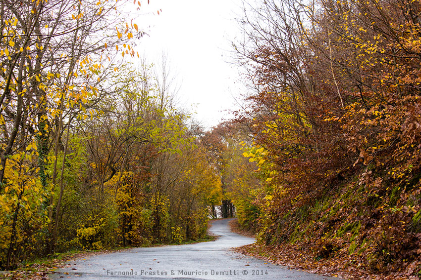 caminho pro castelo de burg-eltz