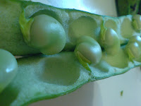 broad beans