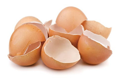 beneficios y usos de la cascara de huevo