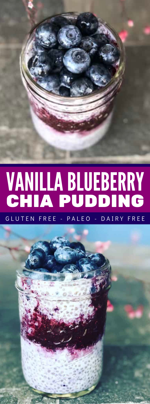 VANILLA BLUEBERRY CHIA SEED PUDDING #healthy #diet