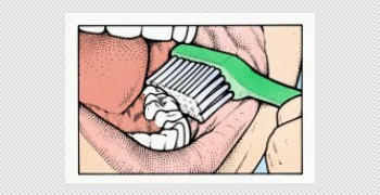 menyikat gigi bagian dalam