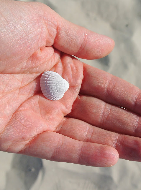 plaże w Jastarni, jak wyglądają poza sezonem