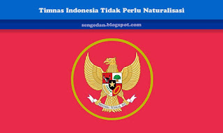 Timnas Indonesia Tidak Perlu Naturalisasi