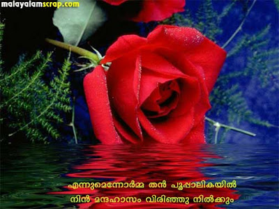 friendship quotes malayalam. love quotes malayalam