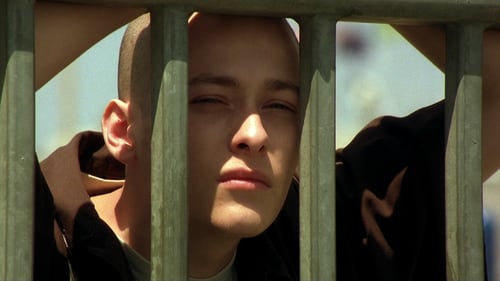American History X 1998 ver online castellano