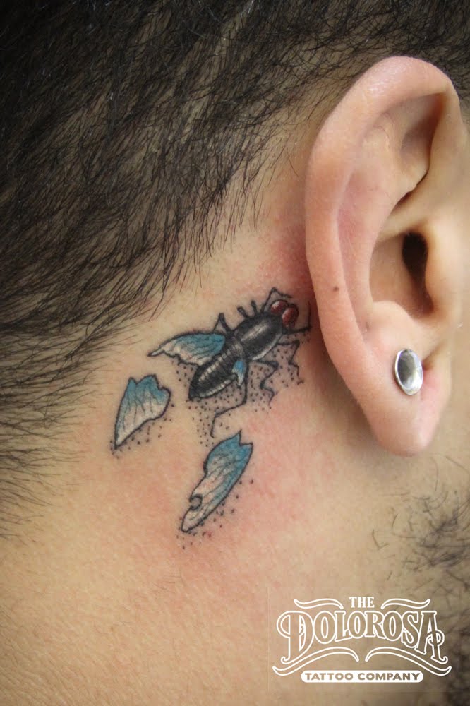 Broken fly tattoo on my homie's dome.