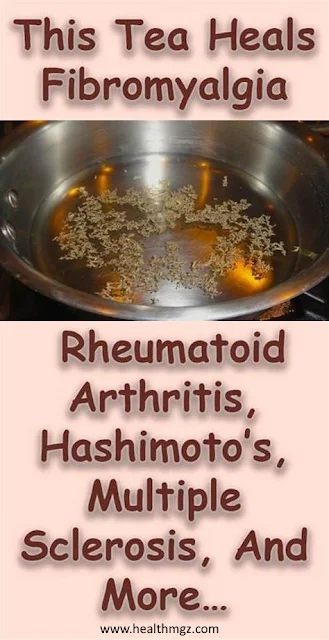 This Herbal Tea Helps in Cases of Multiple Sclerosis, Chronic Fatigue, Rheumatoid Arthritis, Fibromyalgia, Lupus, and Hashimoto’s! (with Recipe!)