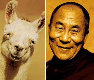 los dobles de los famosos - humor - dalai lama