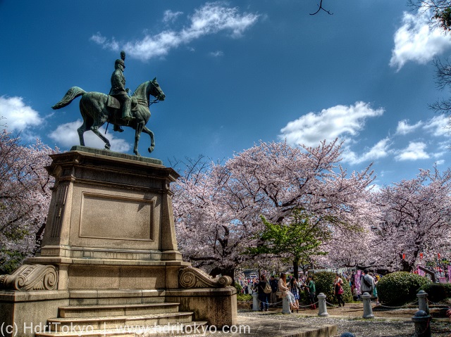bronze statue of  a nobleman riding his horse. cherry blossoms blooming  by the statue. people view the blossoms.