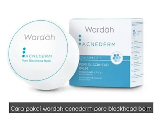 Cara Pakai Wardah Acnederm Pore Blackhead Balm