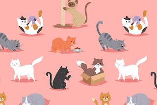 Let’s start with an easy one – how many cats can you see?