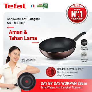 Tefal Day by Day Wokpan