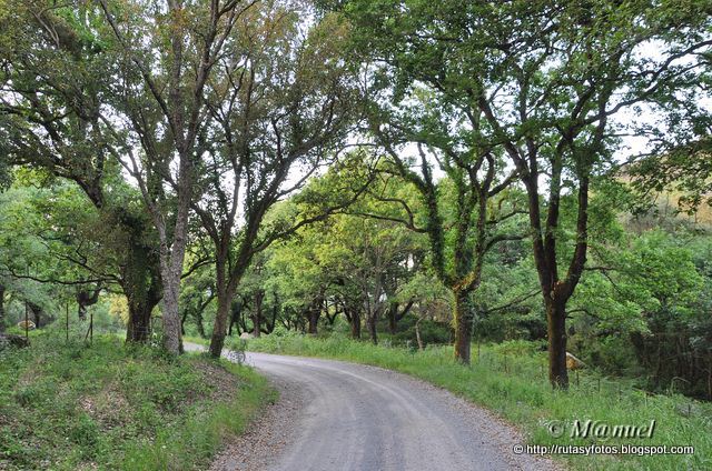 Cruz del Romero por el Canuto del risco blanco