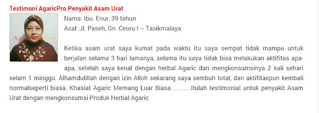 Mengatasi Asam Urat Secara Cepat Tanpa Obat