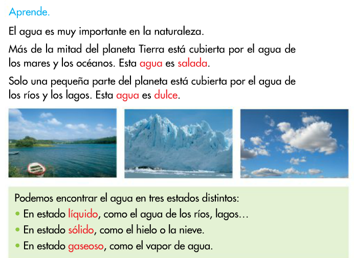 http://www.primerodecarlos.com/SEGUNDO_PRIMARIA/enero/tema2/actividades/cono/aprende_estados_agua.swf